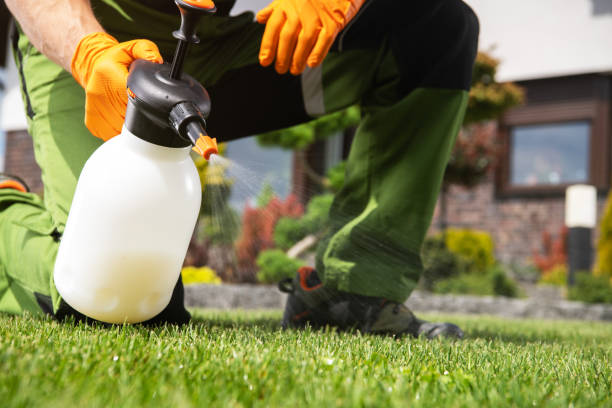 Best Termite Control Services  in Robertsville, NJ