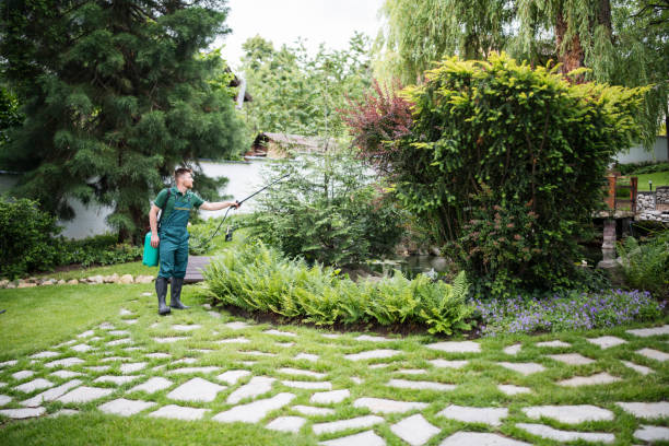 Best Pest Removal Services  in Robertsville, NJ
