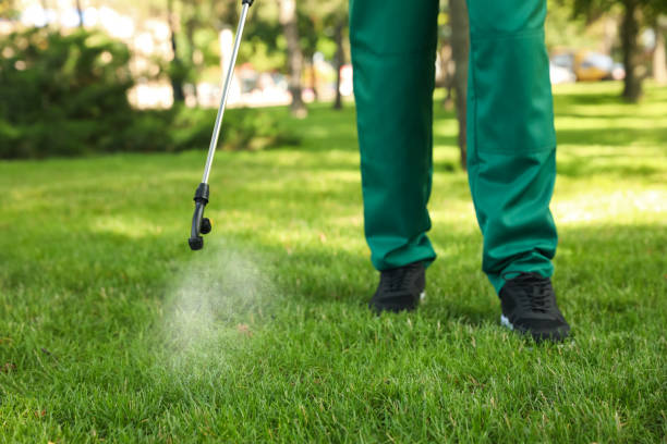 Best Wasp Removal Services  in Robertsville, NJ