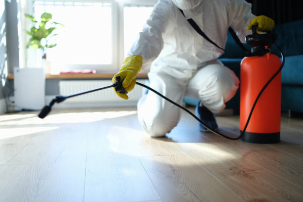 Wasp Removal Services in Robertsville, NJ