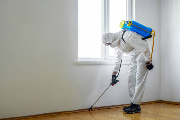 Best Wasp Removal Services  in Robertsville, NJ