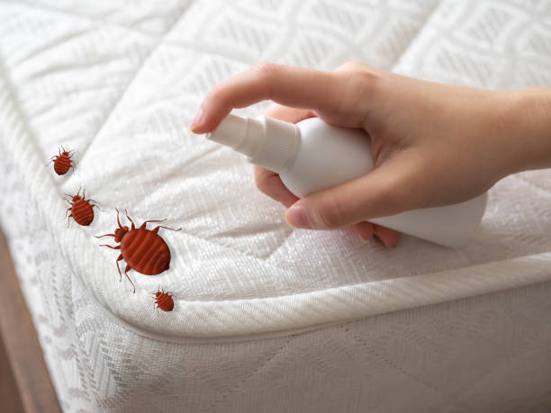 Professional Pest Control in Robertsville, NJ
