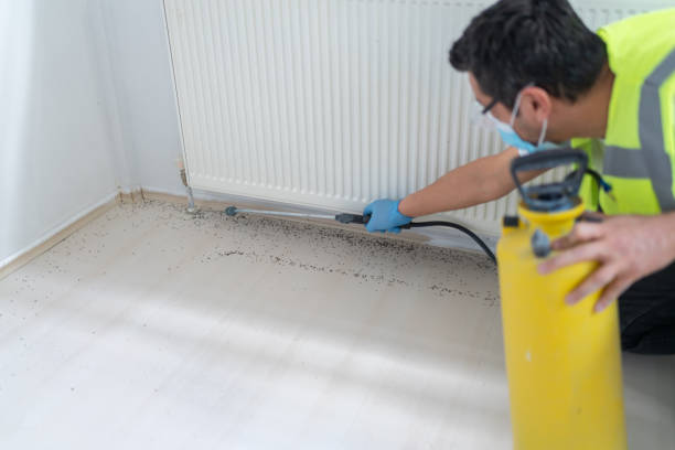 Best Local Pest Control Services  in Robertsville, NJ